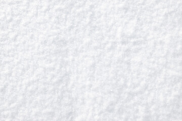 White background with fresh snow.