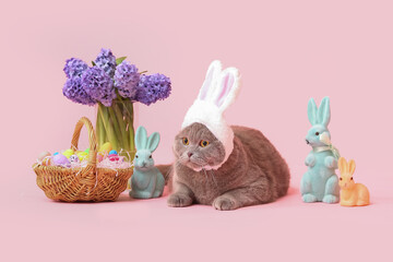 Cute Scottish Fold cat with Easter eggs, rabbits and flowers on pink background