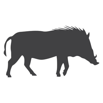 African warthog silhouette, icon. Vector illustration isolated on white background.