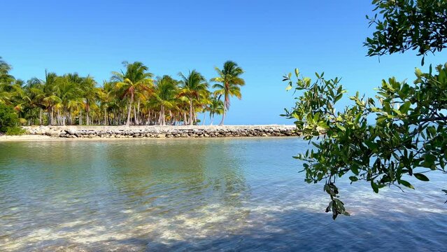 Beautiful beach with palm trees on the Florida Keys - travel photography
