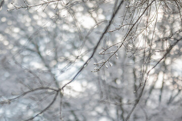 Fototapeta premium Snowy Morning in the Historic Old City