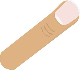 Vector illustration of a human finger of the hand