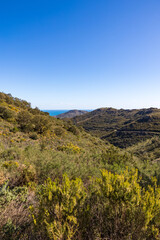 Vue sur le Fort Béar dominant la mer et les terres (Occitanie, France)