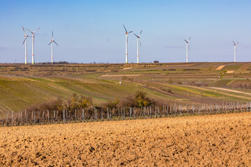 In Rheinland-Pfalz teilen sich Weinreben und Windräder die Landschaft und sorgen für Konflikte in...