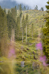 Karersee (Lago di Carezza) in Südtirol 2