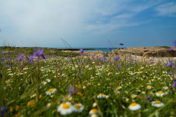 Panorami della splendida costa salentina