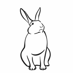 Fototapeta na wymiar Hand drawn hare, outline rabbit graphic image. Animal pet illustration, black isolated on white backgroud