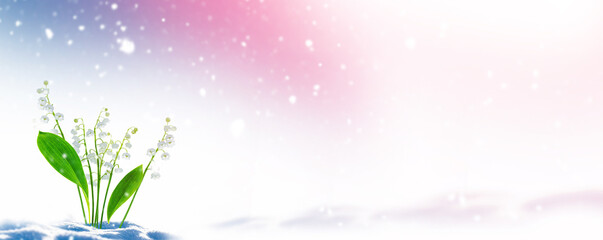 Spring landscape. flowers lily of the valley