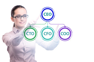 Businesswoman in the organisation chart concept