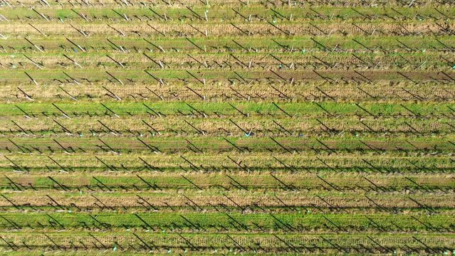Vue a&eacute;rienne de la campagne fran&ccedil;aise