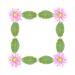 Floral square frame.  Isolated set of pink chrysanthemums and green leaves. Watercolor hand made illustration of flowers.