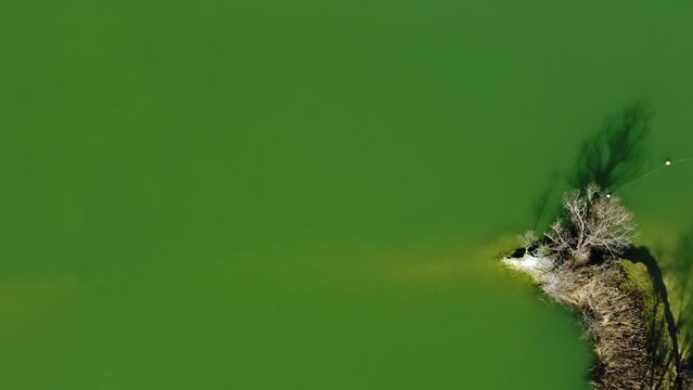 Vue a&eacute;rienne d'un &eacute;tang et des arbres le bordant