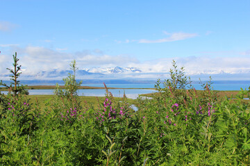 Island - Landschaft Skjalfandibucht mit Flateyjarskagi / Iceland - Landscape Skjalfandi Bay with Flateyjarskagi /