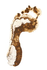 Footprint in wet mud isolated on white, clipping path