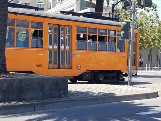 Naklejka premium Italian Tram