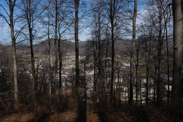 Spring Reborn, Wiedergeborene Frühling, Europa, Switzerland, Mountain, Forest, Sunny day, Lonely Walk