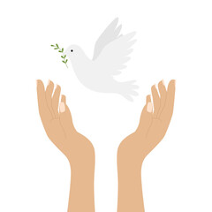 Raised human hands releasing a white dove, a symbol of peace. A flying bird of peace. Color illustration in a flat style isolated on a white background