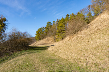 Spring Reborn, Wiedergeborene Frühling, Europa, Switzerland, Mountain, Forest, Sunny day, Lonely...