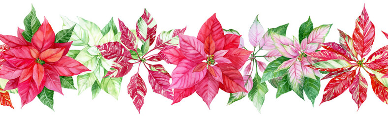 Seamless watercolor pattern with poinsettias. Horizontal garland. Red, pink, mottled flowers. Best for Christmas decor, greeting cards, winter wedding invitation