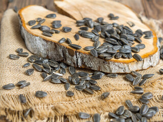 raw unshelled sunflower seeds on a rustic background. seeds on an old tree