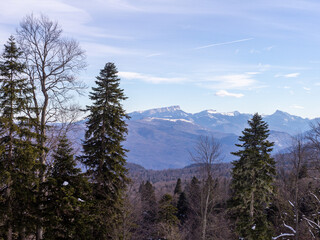 winter, mountain panorama, snow-covered forest and outdoor walks...