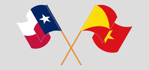 Crossed and waving flags of the State of Texas and Tigray