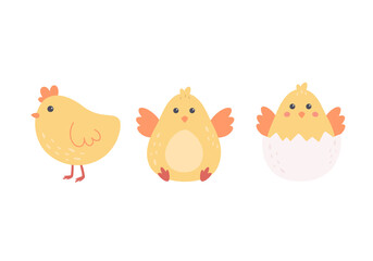 Cute little chickens collection. Easter characters. Hand drawn vector illustration
