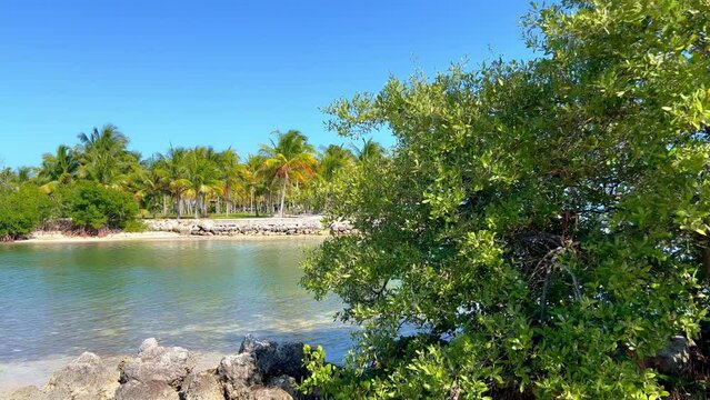 Beautiful beach with palm trees on the Florida Keys - travel photography