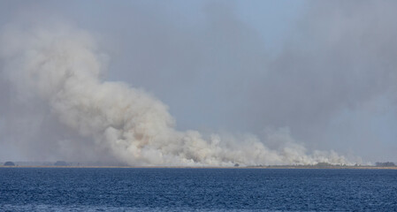 Fototapeta na wymiar Controlled Burn on the shore of Lake Kissimmee Florida 