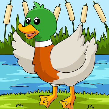 Duck Cartoon Colored Animal Illustration