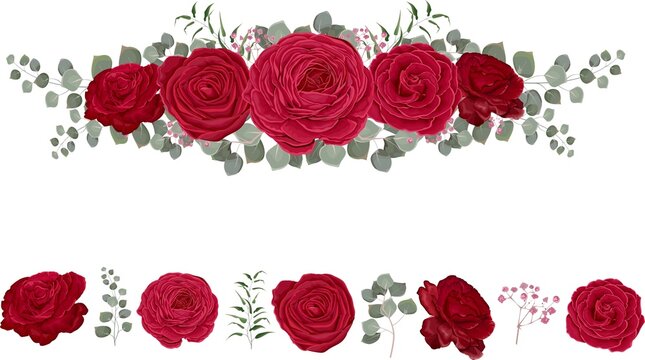 Floral vector border. Red roses, eucalyptus, pink gypsophila, green plants and leaves. All elements are isolated on white background