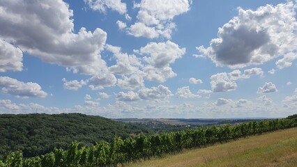 Obraz premium landscape with clouds