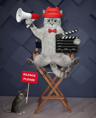 An ashen cat director sits on a high wooden chair and holds a megaphone and a clapperboard.