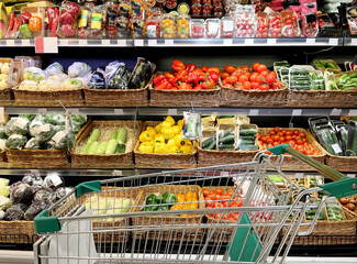 empty grocery cart in an empty supermarket