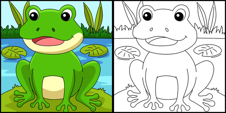 Frog Coloring Page Colored Illustration