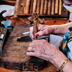 Older female hands making cuban cigar from tobacco leaves.