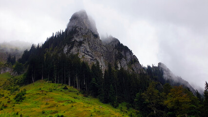 Fototapeta premium Nebeliger Tag im Wald. Mysteriöse Berglandschaft und atemberaubender Blick, Berggipfel in Nebel und Dunst. Nebliger Berg Hintergrund in der Morgendämmerung. Bayern Alpen, Bavaria, Deutschland