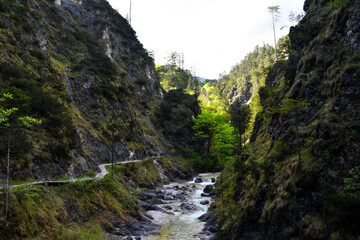 Frühling in die Berge. Bergweg neben ein Bergfluss und einzigartig frischgrünen Baum. Wandern in Bayern Alpen, Bavaria, Deutschland, Europe.