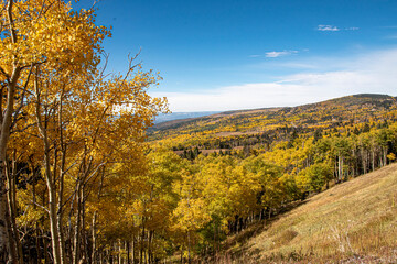 autumn in the mountains