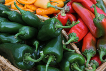 Poblano Peppers with Asian Red Peppers and Yellow Chili Peppers
