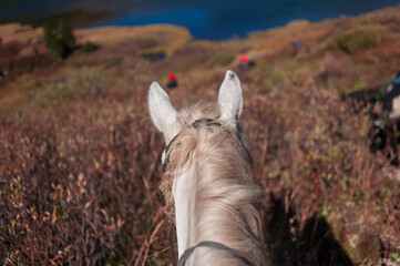 equestrian trip in the Altai mountains, descent from the mountain on horseback