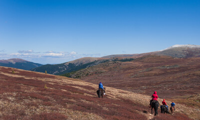 equestrian trip in the Altai mountains, descent from the mountain on horseback