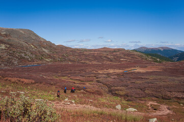 equestrian trip in the Altai mountains, descent from the mountain on horseback