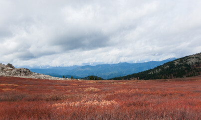 Fototapeta premium red desert in autumn in the mountains of the altai region