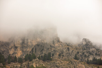 Mountain trails in the mist during winter time