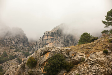 Mountain trails in the mist during winter time
