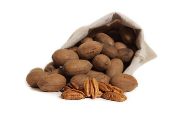 Burlap Bag of Pecans on White Background