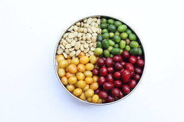 background coffee beans raw dry cherry for background.Robusta and arabica  coffee berries by agriculturist hands,Worker Harvest arabica coffee berries on its branch, harvest concept.