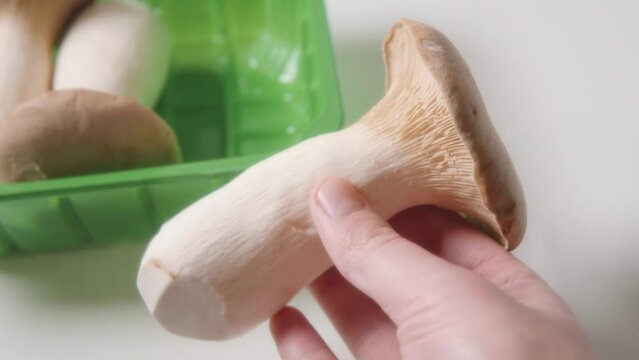 Fresh King Oyster Mushroom also known as king trumpet or eryngii mushroom in the hand of a man.