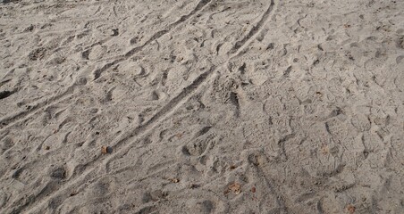 Fahrspuren im Sand